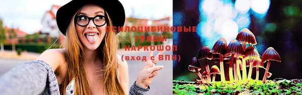 ешки Осинники
