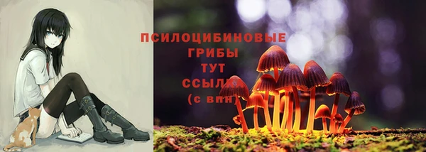 ECSTASY Осташков
