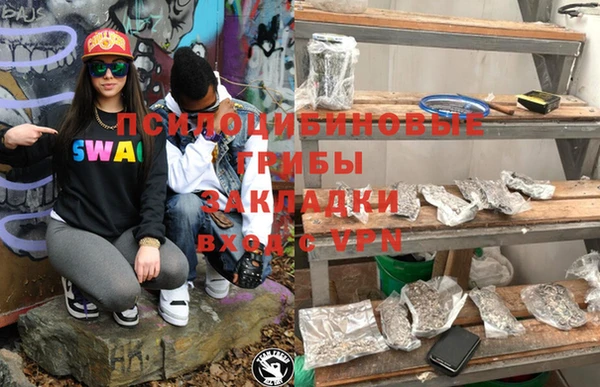 ешки Осинники