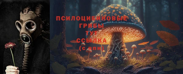 ешки Осинники