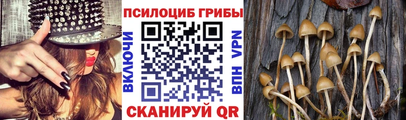 Псилоцибиновые грибы ЛСД  Арсеньев 